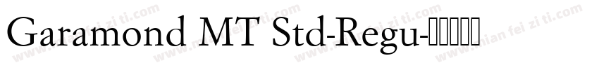 Garamond MT Std-Regu字体转换